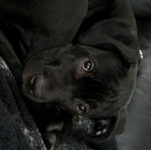 Meet your Posher, Robyn